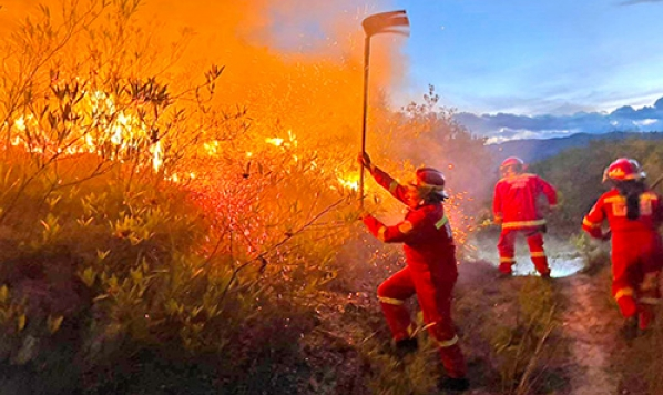 APURÍMAC REGISTRA 79 INCENDIOS FORESTALES EN LO QUE VA DEL AÑO; COTABAMBAS LIDERA LA LISTA CON 25 SINIESTROS